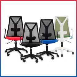 Evio Asia Ergonomic Mid-Back Mesh Office Chair (Model MC119)