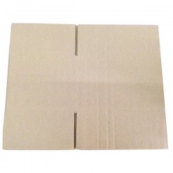 (300mmx195mmx260mm, Set of 15) Evio Asia Small Single Wall Cardboard Box Kotak