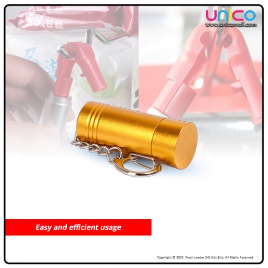 Anti-Theft Mastery: 6000GS GOLD Magnetic Detacher Key at Unicomall